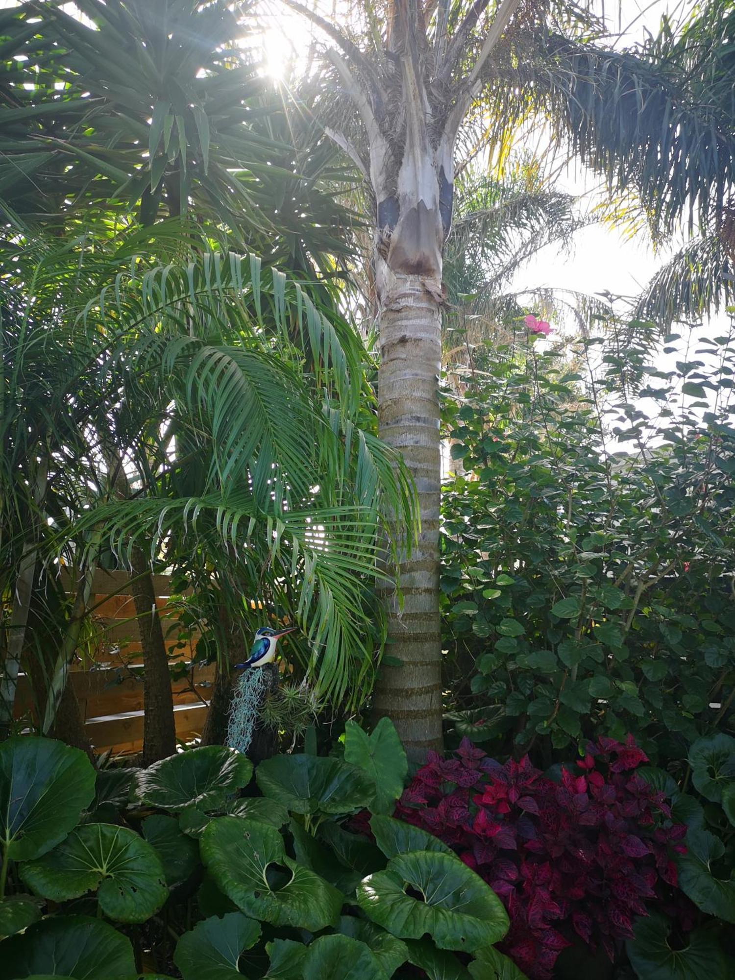 Coast Awhile - Whangamata Holiday Home Bagian luar foto
